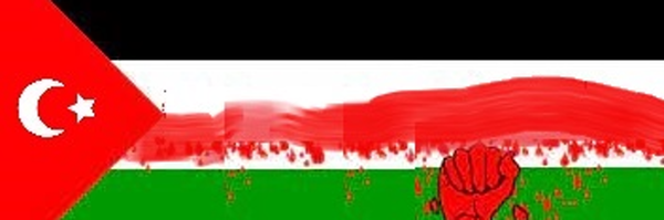 ‌نوح الغازي‌'s header picture