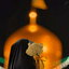 Profile picture of ‌خـاتـون🎀‌