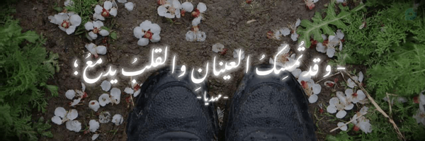 ‌آیـہ خانومــ☫‌'s header picture