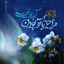 Profile picture of ‌احمد‌