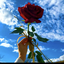 Profile picture of ‌Miss rz‌