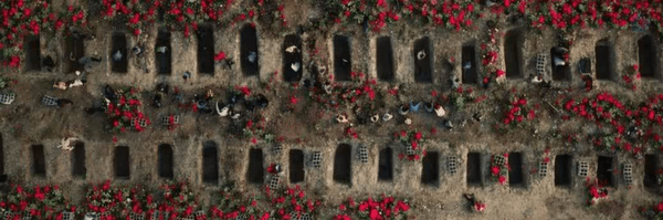 ‌مانی کیانی‌'s header picture
