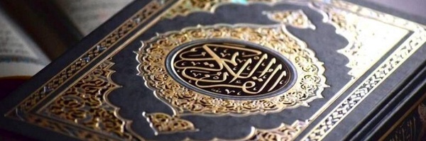 ‌amirmohammad asadzadeh‌'s header picture