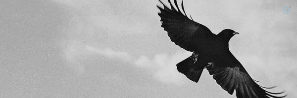 ‌محمد حسین‌'s header picture
