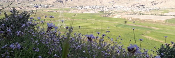 ‌حمزه احمدی‌'s header picture
