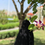 Profile picture of ‌نسیم بهاری‌