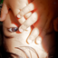 Profile picture of ‌سید‌