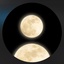 Profile picture of ‌سایه ملقب به (حُبُ نَجَفْــ)‌