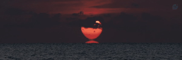 ‌زهرا گرجی‌'s header picture
