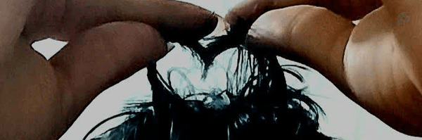 ‌FΣ‌'s header picture
