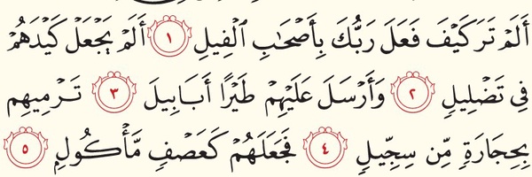‌خبرگزاری بیدارشو‌'s header picture