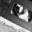 Profile picture of ‌RR Mm‌