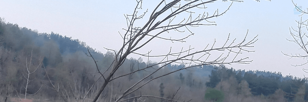 ‌Faezeh sadat Khabbaz‌'s header picture