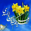 Profile picture of ‌سید‌