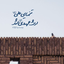 Profile picture of ‌AmirHossein‌