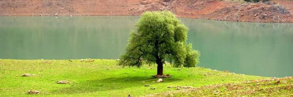 ‌ذره بین‌'s header picture
