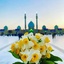 Profile picture of ‌ابوذر‌