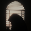 Profile picture of ‌Fz SH‌