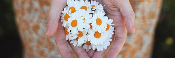 ‌زهرا محمدی‌'s header picture