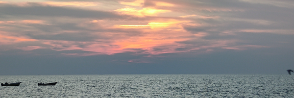 ‌k jafari‌'s header picture