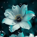 Profile picture of ‌هادی‌