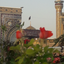 Profile picture of ‌ذوالفقار🇾🇪🇮🇷🇵🇸🇱🇧‌