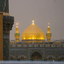 Profile picture of ‌احمدرضا احمدی‌
