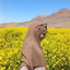 Profile picture of ‌حُسنا سادات‌