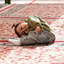 Profile picture of ‌Mohammadhoussien‌