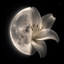 Profile picture of ‌Salehe.N‌