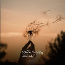 Profile picture of ‌طاووسی‌