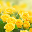 Profile picture of ‌نی نی سایتی‌