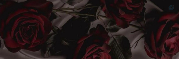 ‌r@hi4002 r@hi4002‌'s header picture