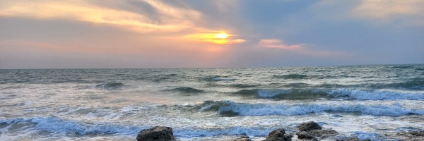 ‌حلما‌'s header picture