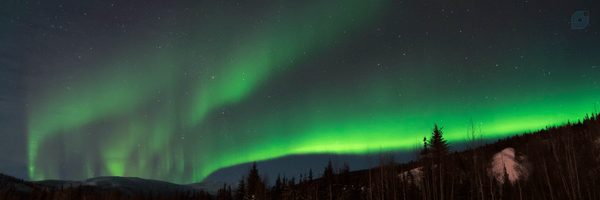 ‌Rehné‌'s header picture