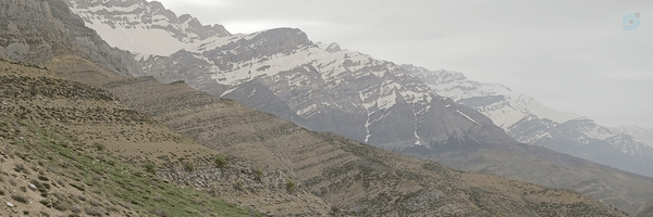 ‌علیرضا بختیاری‌'s header picture