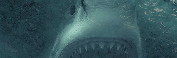‌ماهی!‌'s header picture
