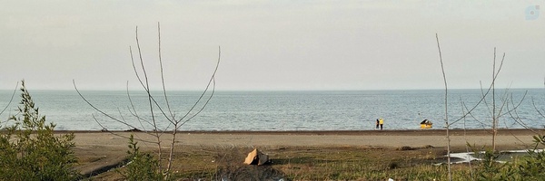 ‌Mohammad.h. Si‌'s header picture