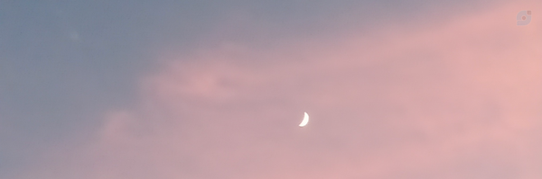‌فاطمه صالح‌'s header picture