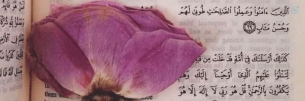 ‌*بنت المقاومة*‌'s header picture
