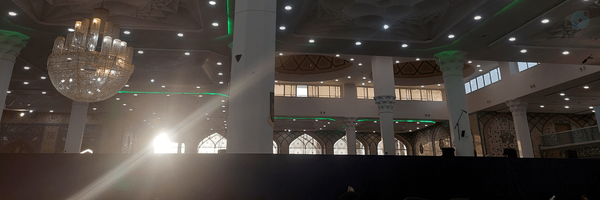‌هستی شایان‌'s header picture
