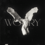 worry (Slowed)