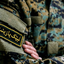 Profile picture of ‌سِیدعَلــــی🎒‌