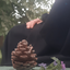 Profile picture of ‌« سیده‌زهــرآء »‌
