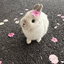 Profile picture of ‌𝑺𝒂𝒉𝒆𝒍‌