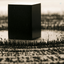 Profile picture of ‌میعاد تازیکه‌