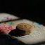 Profile picture of ‌موقوفه‌
