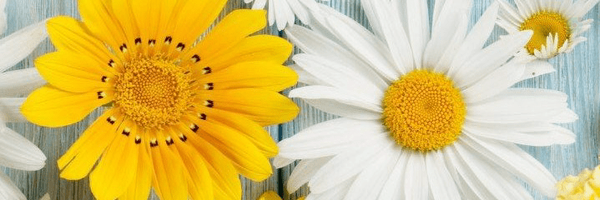 ‌Ha Saeedi‌'s header picture