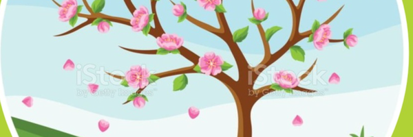 ‌مهدی کاشیها‌'s header picture