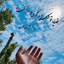 Profile picture of ‌علی ایلیاسی‌